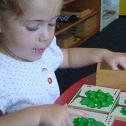 Koru Montessori